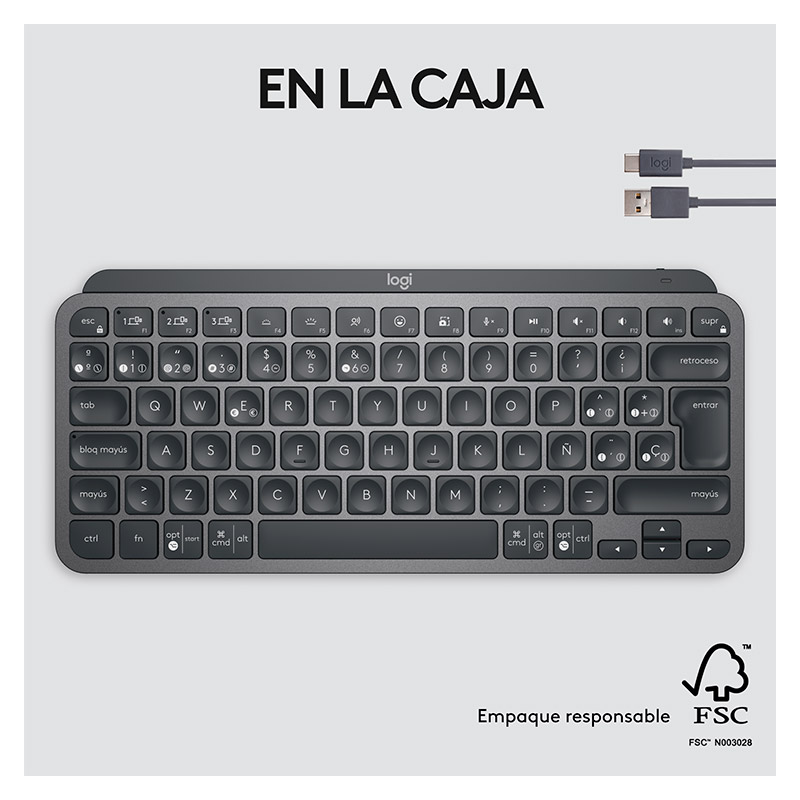 Teclado Inalámbrico Logitech MX Keys Mini Negro