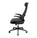 Silla Gaming Cougar Stryder Negra