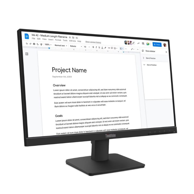Monitor 21.5" Lenovo ThinkVision S22-4e 1920x1080 100Hz IPS HDMI VGA Negro