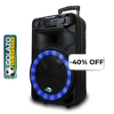Bocina Bluetooth Dolphin SP-1500RBT Party Speaker 15" 3100W Negro